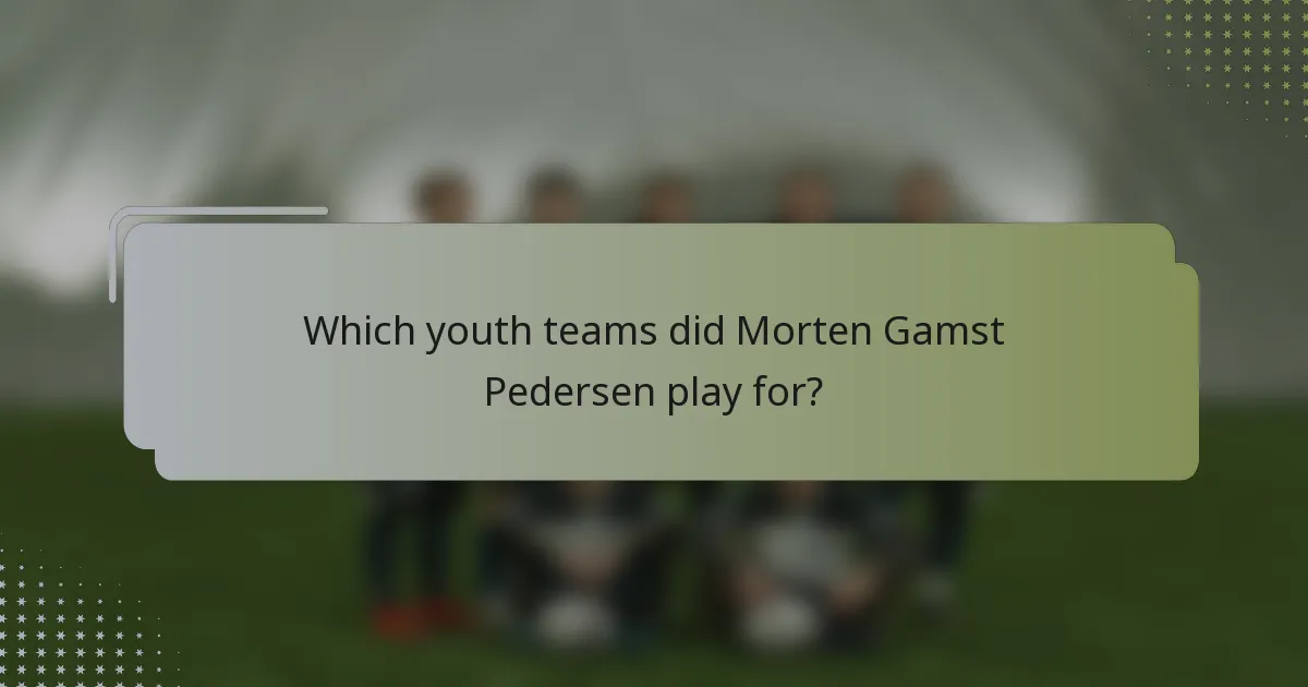 Which youth teams did Morten Gamst Pedersen play for?